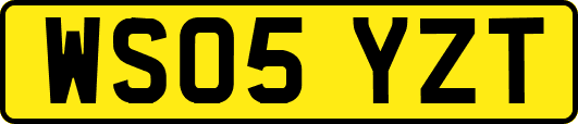 WS05YZT
