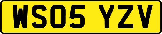 WS05YZV