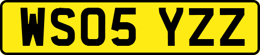WS05YZZ