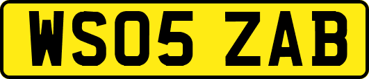 WS05ZAB