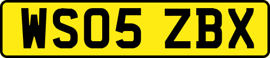 WS05ZBX