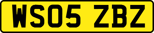 WS05ZBZ