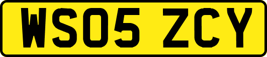 WS05ZCY