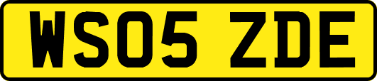 WS05ZDE