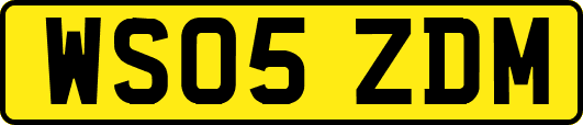 WS05ZDM