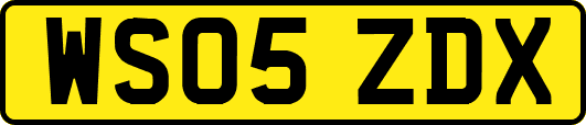 WS05ZDX