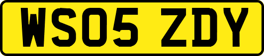 WS05ZDY