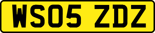WS05ZDZ