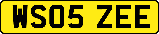 WS05ZEE