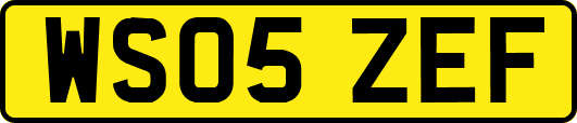 WS05ZEF