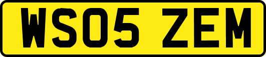 WS05ZEM