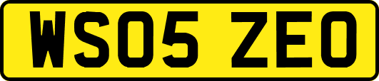 WS05ZEO
