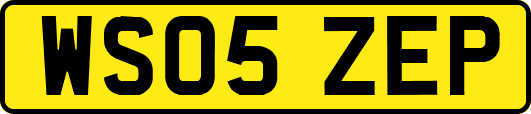 WS05ZEP