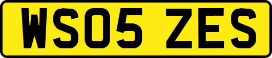 WS05ZES