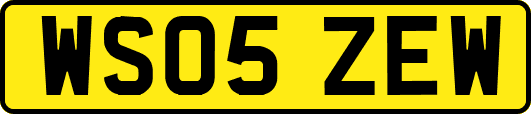 WS05ZEW
