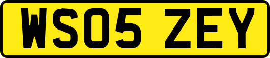 WS05ZEY