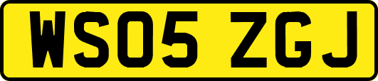 WS05ZGJ