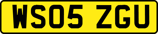 WS05ZGU