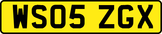 WS05ZGX
