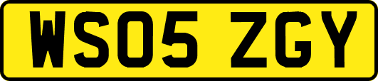 WS05ZGY
