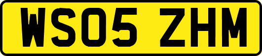 WS05ZHM