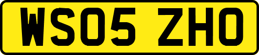WS05ZHO
