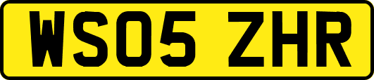 WS05ZHR