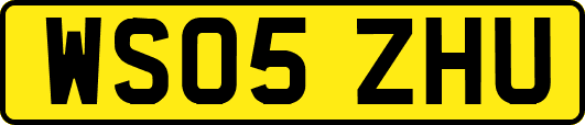 WS05ZHU