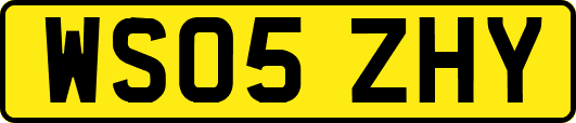 WS05ZHY