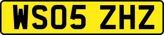WS05ZHZ