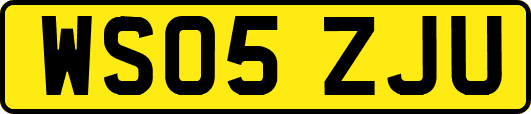 WS05ZJU