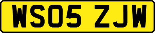 WS05ZJW