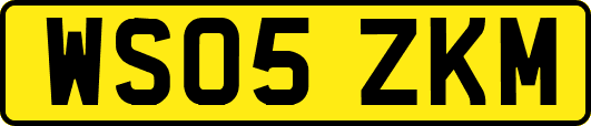 WS05ZKM