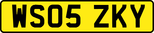 WS05ZKY