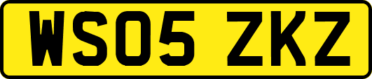 WS05ZKZ