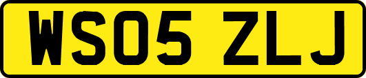 WS05ZLJ