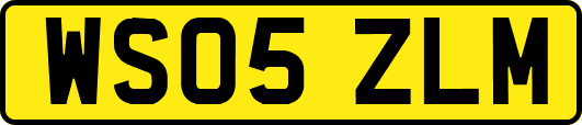 WS05ZLM