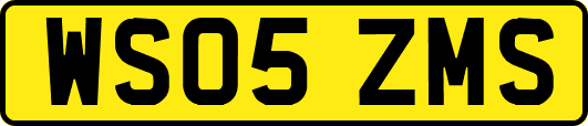 WS05ZMS