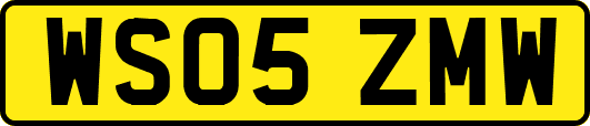 WS05ZMW