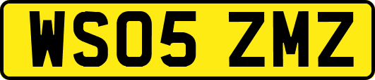 WS05ZMZ