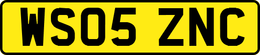 WS05ZNC
