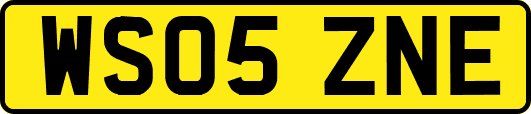 WS05ZNE
