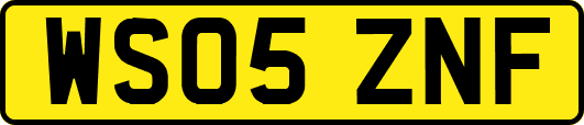 WS05ZNF