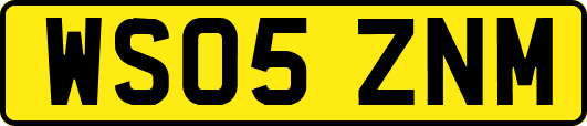 WS05ZNM
