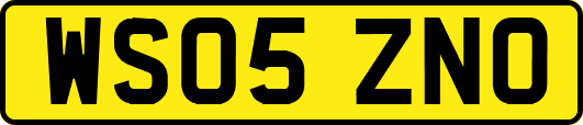 WS05ZNO