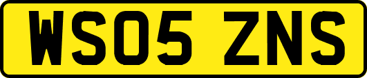 WS05ZNS
