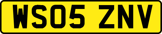 WS05ZNV