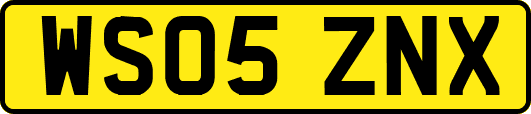 WS05ZNX