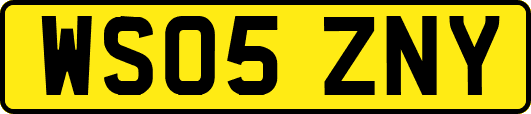 WS05ZNY
