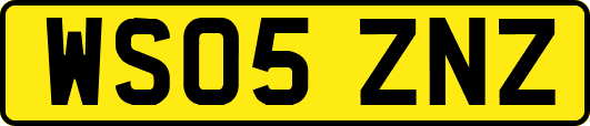 WS05ZNZ